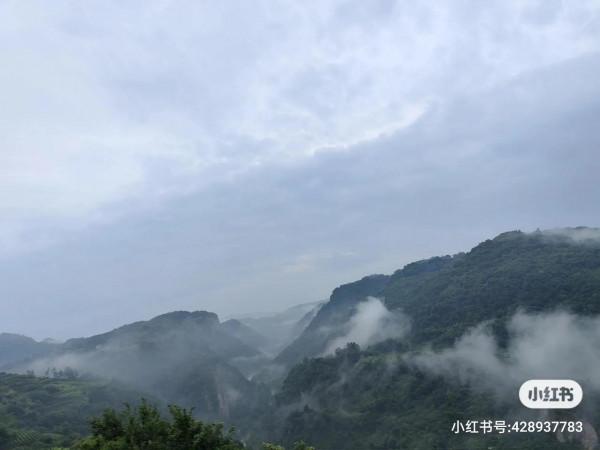 你知道喝龍井茶的好處有哪些嗎？