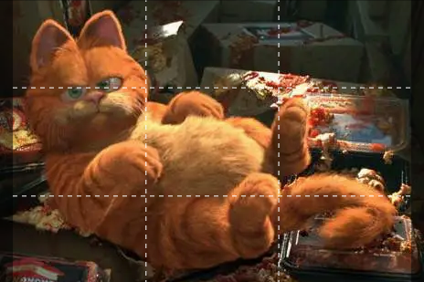 阿喵日記：謹以此文，紀念那些曾經與肥肉做抗爭的苦逼歲月