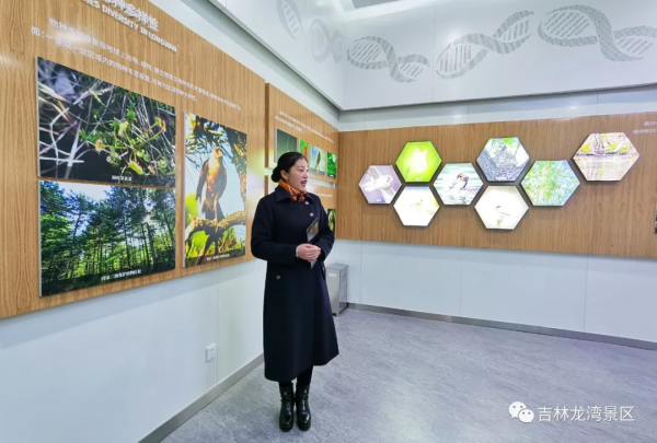 北京巔峰智業助力龍灣景區建立國家 AAAAA 景區之實地踏查篇