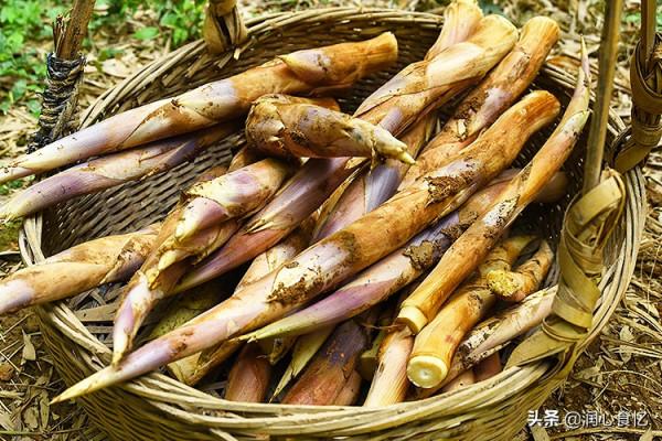 國內哪的筍最好吃?經過評比,這8個地方比較出名,有你家鄉嗎? 國內哪的筍最好吃?經過評比,這8個地方比較出名,有你家鄉嗎?