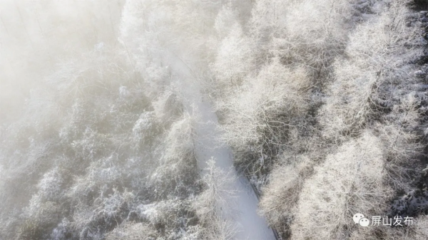 雪雪雪！老君山最新雪景照來了