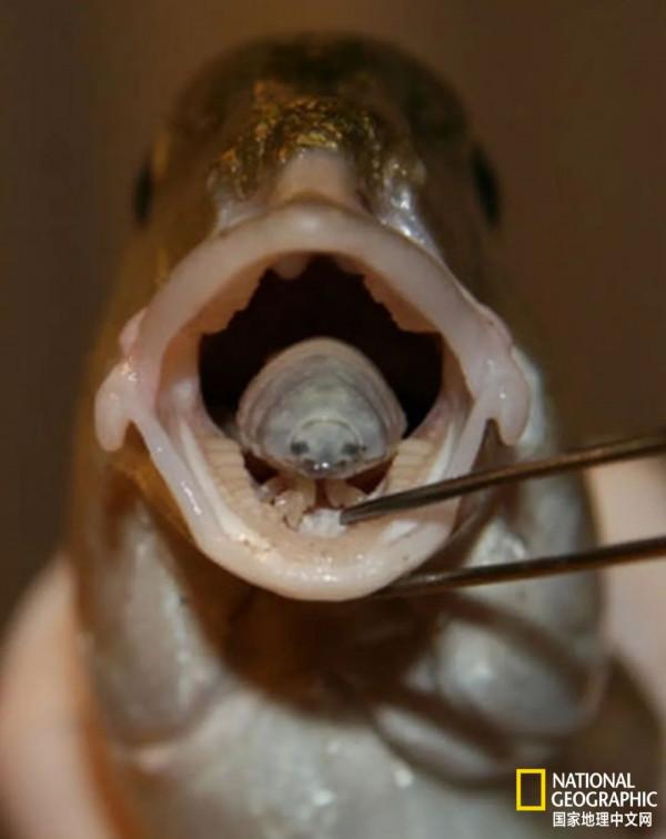 為什麼要保護這麼卑鄙的東西? 為什麼要保護這麼卑鄙的東西?