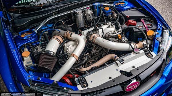 對於翼豹的愛,與年齡無關 對於翼豹的愛,與年齡無關