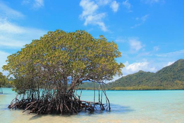 十二生肖2021年10月29日運勢查詢 十二生肖2021年10月29日運勢查詢