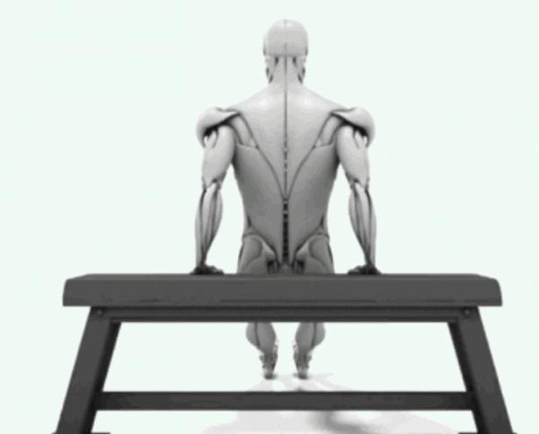 沒時間去健身房練，教你6個動作，在家也能練遍全身肌肉