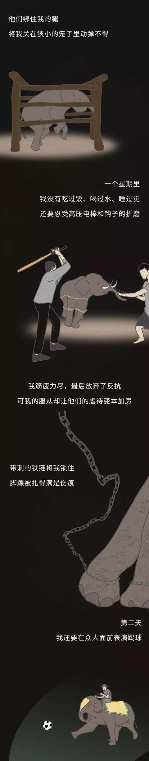 漫畫：你們也是這樣毀掉我的一生的