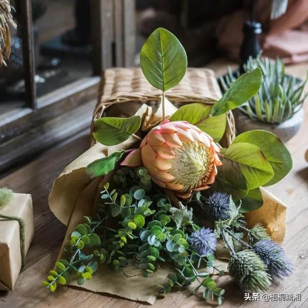 那些植物界的愛馬仕