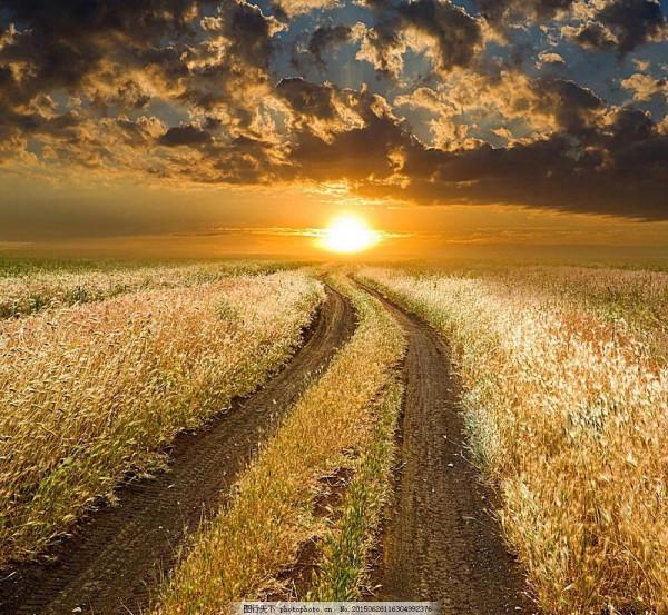 特別漂亮的路風景分享