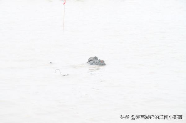 處在淡水水域的海鷗島，因外形輪廓相似而得名，其實並沒有海鷗