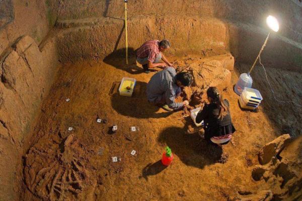 考古鼻祖古墓被盜，執法人員調查後發現，盜墓賊竟是墓主後代