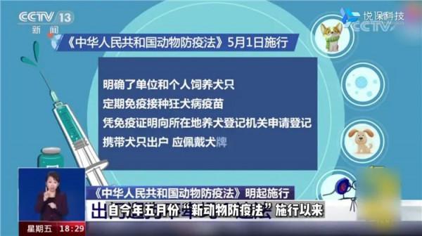 寵物黑科技,AI識別讓城市寵物管理更智慧 寵物黑科技,AI識別讓城市寵物管理更智慧