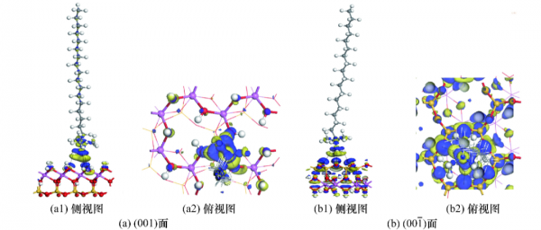 陳軍等：季銨鹽在高嶺石表面吸附的分子模擬研究