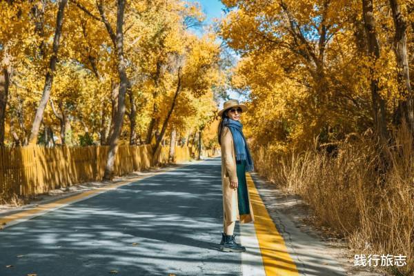 新疆喀什投入1.23億的金胡楊景區,看看68元的門票到底值不值 新疆喀什投入1.23億的金胡楊景區,看看68元的門票到底值不值