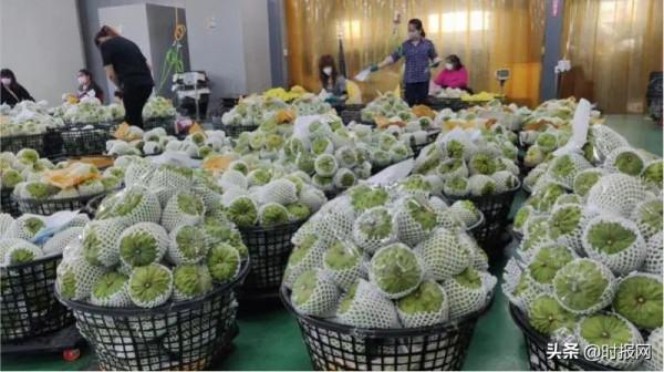 2021年9月20日（星期一）新聞早班車