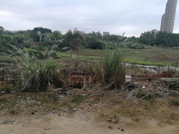 閒不住的候鳥（候鳥小菜園，提倡否？）