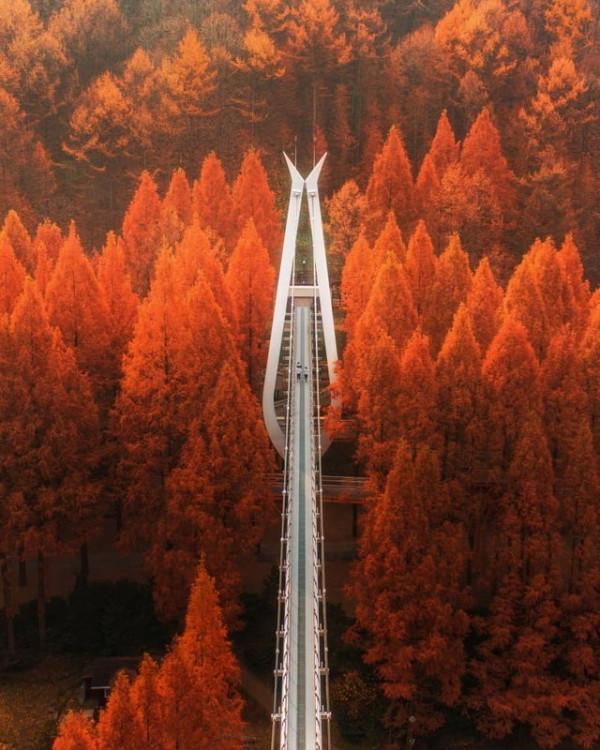 50張圖片展示出韓國不一樣的一面