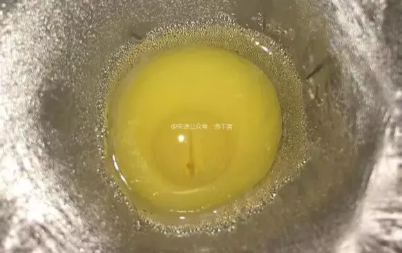 把受過精的烏龜蛋打進保鮮膜內,60天后奇蹟出現了 把受過精的烏龜蛋打進保鮮膜內,60天后奇蹟出現了