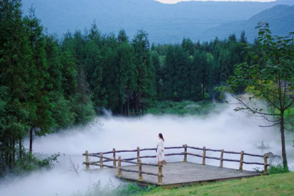 “顏值”再升級,七里坪森林禪道(二期)迭新開放 “顏值”再升級,七里坪森林禪道(二期)迭新開放