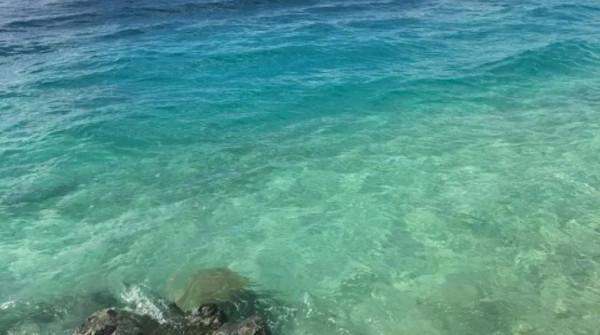 雪花飛揚，美景如畫