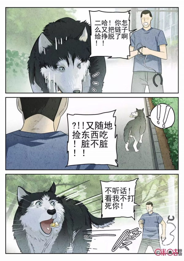 極刑飯漫畫——最完美的煎蛋