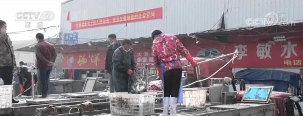 節前看消費|湖北武漢:各地蔬菜迎來豐收 供應量充足 節前看消費|湖北武漢:各地蔬菜迎來豐收 供應量充足