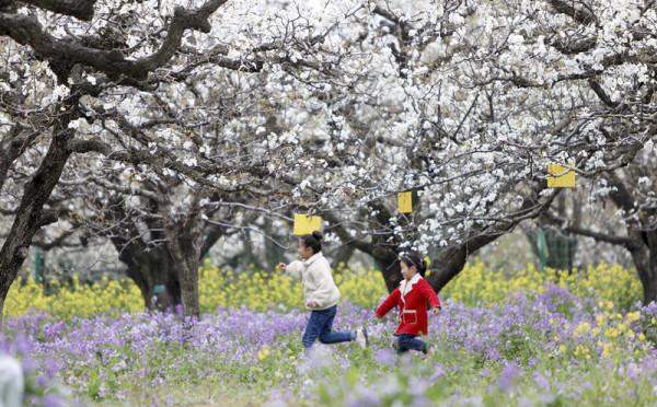 歙縣、黟縣、柘皋、濉溪、渦陽，安徽五大難讀地名，你能讀對幾個