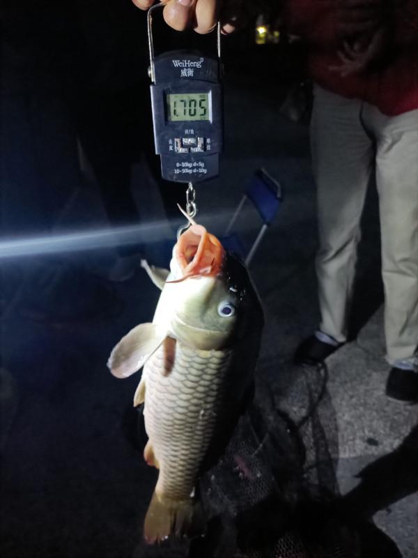 苦守大魚不如改變釣法，說不定也會有驚喜