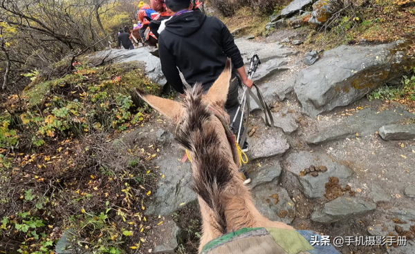 稻城亞丁,號稱“藍色星球上的最後一片淨土”,卻是我的惡魔之旅 稻城亞丁,號稱“藍色星球上的最後一片淨土”,卻是我的惡魔之旅