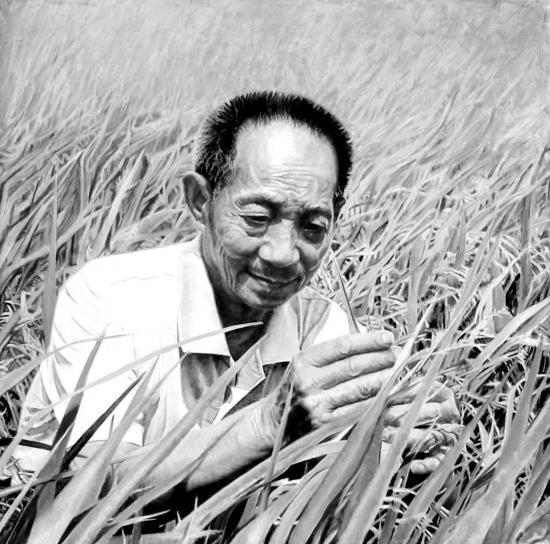 為什麼諾貝爾獎這麼多年不提名袁隆平？成果享譽世界，但敗給現實