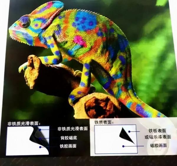 牆面裝飾材料分類及7大應用方案 牆面裝飾材料分類及7大應用方案