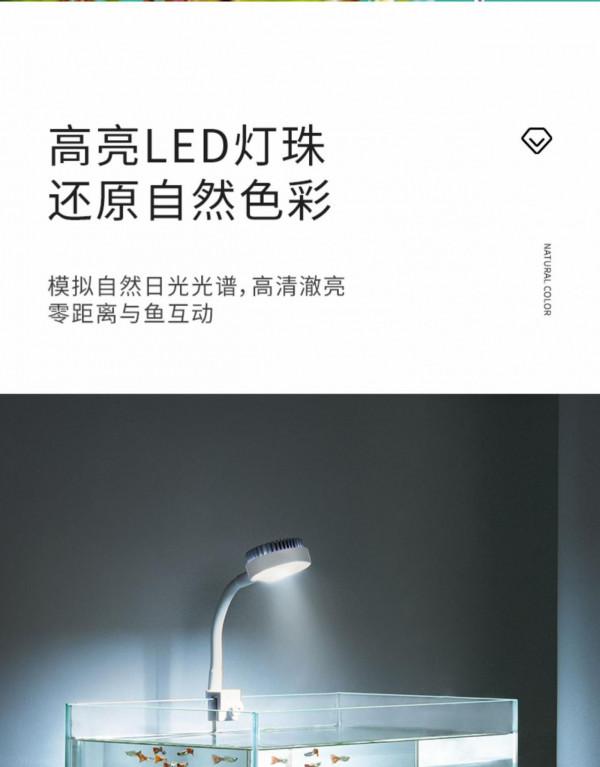 新手如何入門水族系列之五燈具的選擇 新手如何入門水族系列之五燈具的選擇