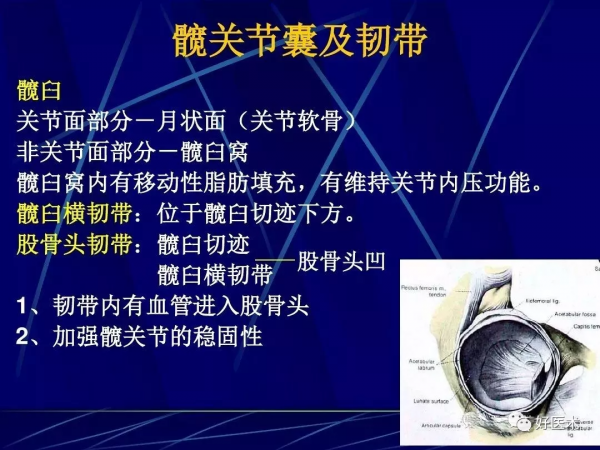 86張全身關節應用解剖精講，這篇文章值得收藏