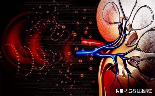 三焦不通，可能血脂高！肝、脾、腎、脈四者同調，降血脂，通三焦