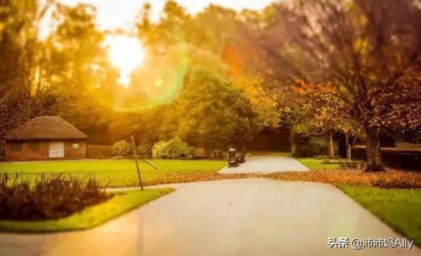 只要心中有暖，又何懼人生荒涼