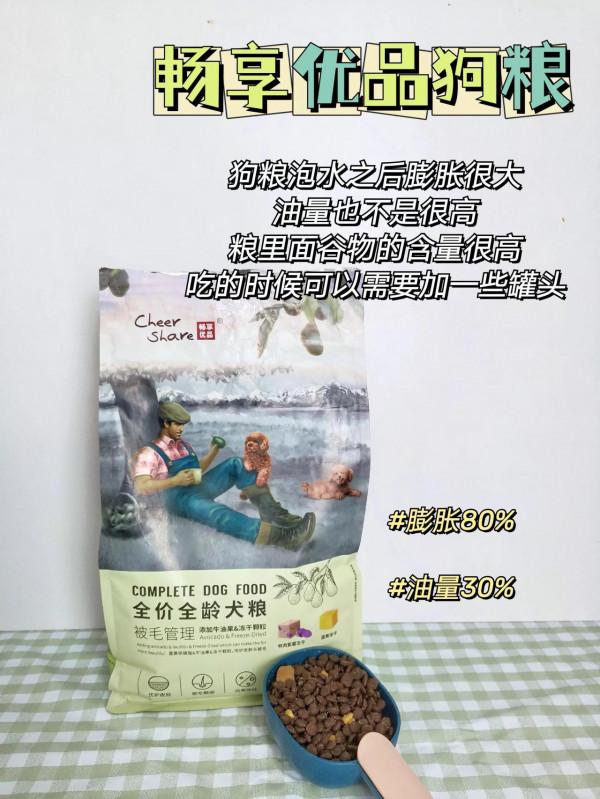 怎麼才能選出高質量狗糧呢？其實秘訣在著