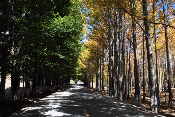 川西環線之旅 - 逃離稻城 川西環線之旅 - 逃離稻城