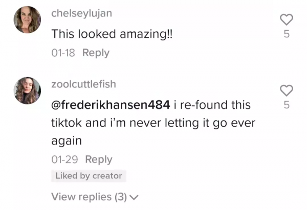 2250萬贊！150萬國外網友愛上在TikTok看他做中餐