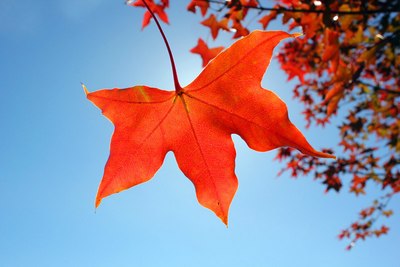 一個人最聰明的活法:擺正自己的位置 一個人最聰明的活法:擺正自己的位置