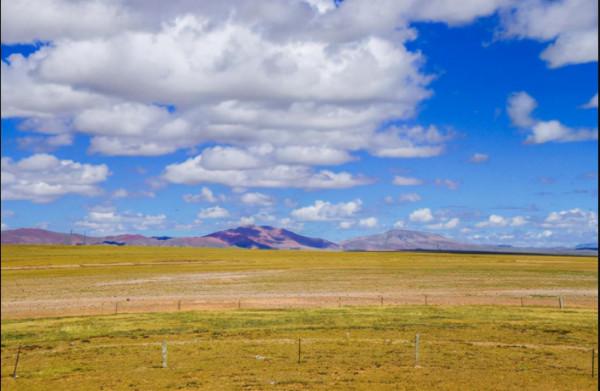 青海可可西里自然保護區
