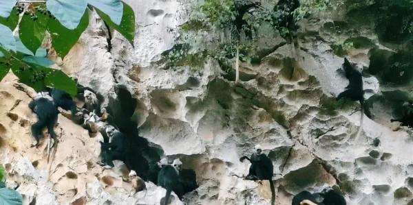 這個冬天,你應該去一趟廣西之崇左玉林靖西 這個冬天,你應該去一趟廣西之崇左玉林靖西