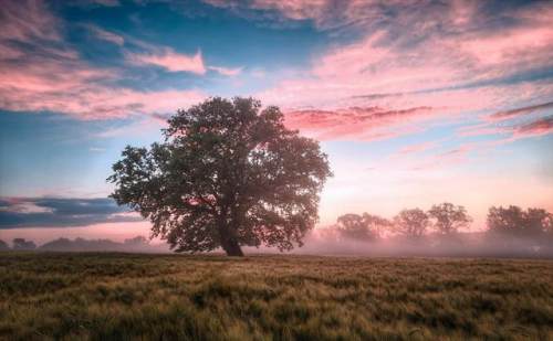 道德經與打坐~第31章（下）：是非爭鬥、疑神疑鬼，是生命大殺器