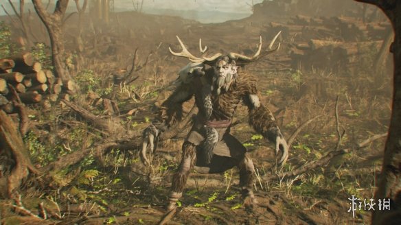 變身動物對抗傭兵!《Leshy》雲端募資近期即將展開 變身動物對抗傭兵!《Leshy》雲端募資近期即將展開