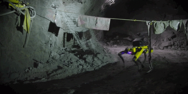 不簽收就會跑掉,還能幫小學生寫作業。這樣的新年禮物喜歡嗎? 不簽收就會跑掉,還能幫小學生寫作業。這樣的新年禮物喜歡嗎?