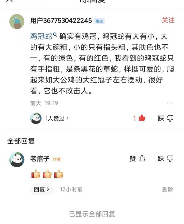 蛇身 雞頭還會飛，傳說中的《雞冠蛇》，原來它長這樣