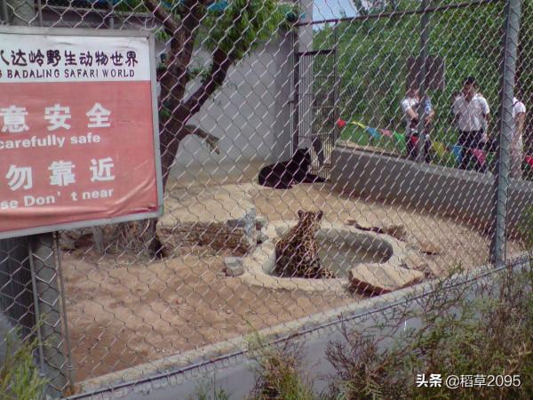 北京郊區遊之延慶西部，這九個景點各具特色，您都去過了嗎？