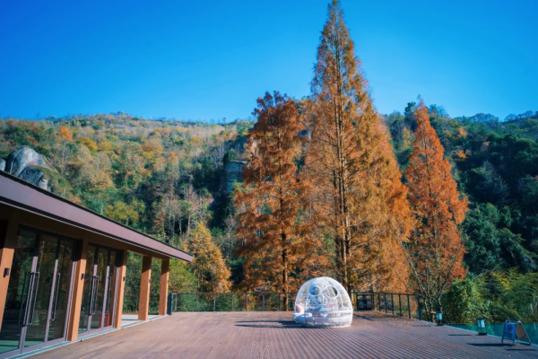 這家酒店的紅葉季，讓我想起了虹夕諾雅京都