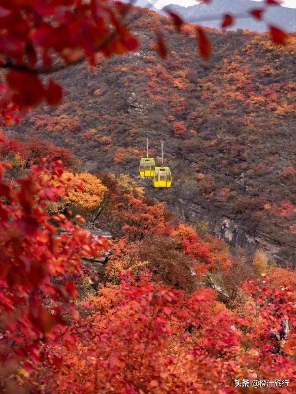 一起去故都北京賞秋吧,寫滿了歲月的故事 一起去故都北京賞秋吧,寫滿了歲月的故事