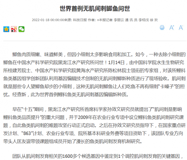 釣魚人之福：無小刺鯽魚即將上市，吃魚再也不用挑刺