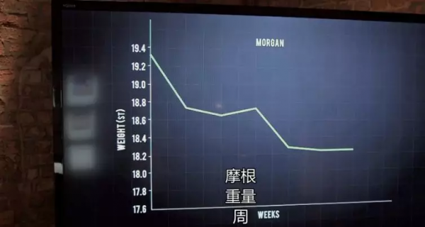 肥胖體質分3種，快來看看你是哪一種