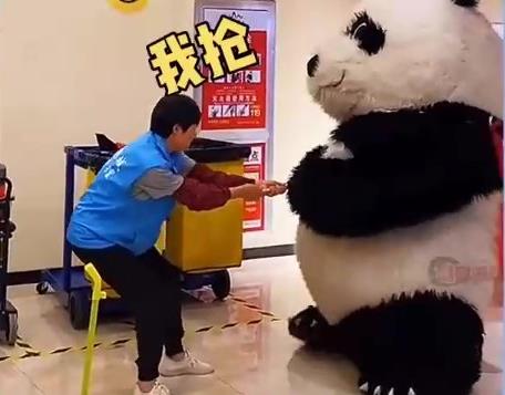 在江蘇蜜雪冰城有一隻國寶,他在網路上,太火了 在江蘇蜜雪冰城有一隻國寶,他在網路上,太火了